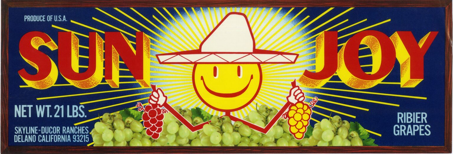 Sun Joy